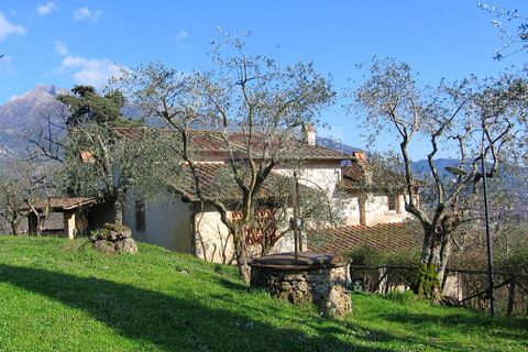 Villa i Camaiore, Lucca, Camaiore - € 1.600.000 | Ref: 2509 - foto 6