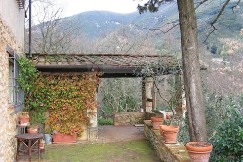 Villa i Camaiore, Lucca, Camaiore - € 1.600.000 | Ref: 2509 - foto 32