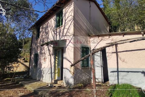 Landejendom i Pietrasanta, Lucca, Pietrasanta - € 450.000 | Ref: 2555 - foto 8
