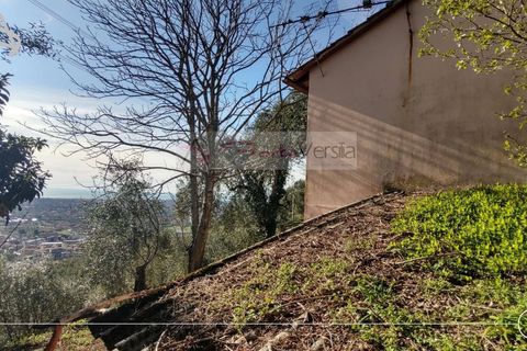 Landejendom i Pietrasanta, Lucca, Pietrasanta - € 450.000 | Ref: 2555 - foto 11