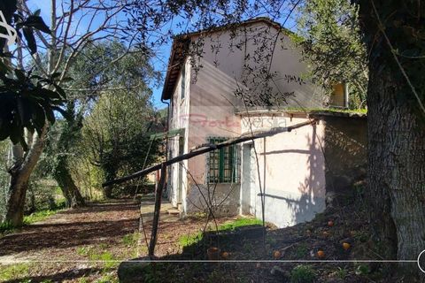 Landejendom i Pietrasanta, Lucca, Pietrasanta - € 450.000 | Ref: 2555 - foto 9