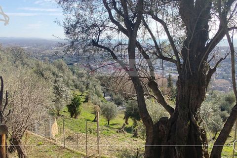 Landejendom i Pietrasanta, Lucca, Pietrasanta - € 450.000 | Ref: 2555 - foto 12