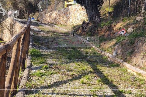 Landejendom i Pietrasanta, Lucca, Pietrasanta - € 450.000 | Ref: 2555 - foto 5