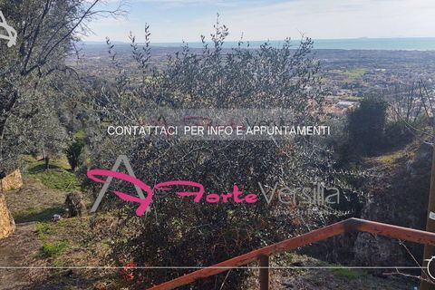Landejendom i Pietrasanta, Lucca, Pietrasanta - € 450.000 | Ref: 2555 - foto 2