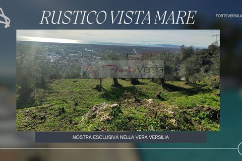 Landejendom i Pietrasanta, Lucca, Pietrasanta - € 450.000 | Ref: 2555 - foto 1