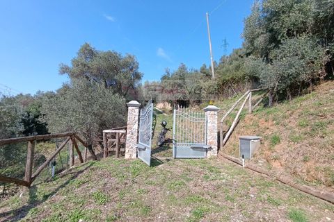 Landejendom i Pietrasanta, Lucca, Pietrasanta - € 450.000 | Ref: 2555 - foto 4