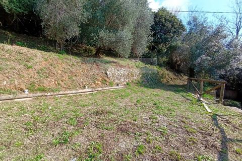 Landejendom i Pietrasanta, Lucca, Pietrasanta - € 450.000 | Ref: 2555 - foto 6
