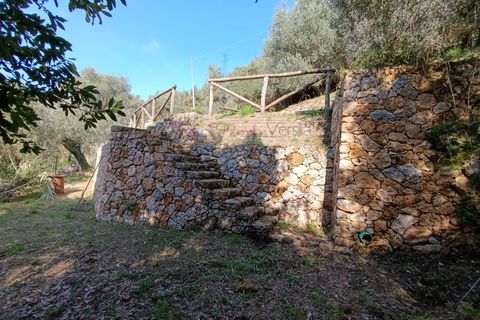 Landejendom i Pietrasanta, Lucca, Pietrasanta - € 450.000 | Ref: 2555 - foto 7