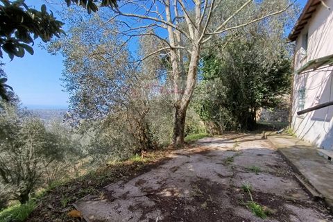 Landejendom i Pietrasanta, Lucca, Pietrasanta - € 450.000 | Ref: 2555 - foto 10