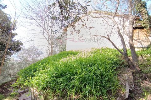 Landejendom i Pietrasanta, Lucca, Pietrasanta - € 450.000 | Ref: 2555 - foto 13