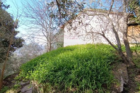 Landejendom i Pietrasanta, Lucca, Pietrasanta - € 450.000 | Ref: 2555 - foto 14