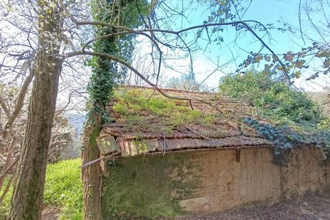 Landejendom i Pietrasanta, Lucca, Pietrasanta - € 450.000 | Ref: 2555 - foto 15