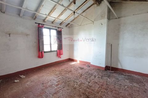 Landejendom i Pietrasanta, Lucca, Pietrasanta - € 450.000 | Ref: 2555 - foto 21