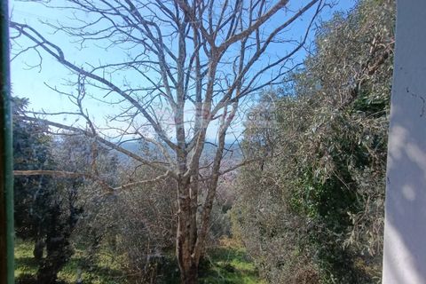 Landejendom i Pietrasanta, Lucca, Pietrasanta - € 450.000 | Ref: 2555 - foto 22