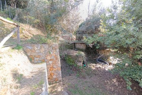Landejendom i Pietrasanta, Lucca, Pietrasanta - € 450.000 | Ref: 2555 - foto 23