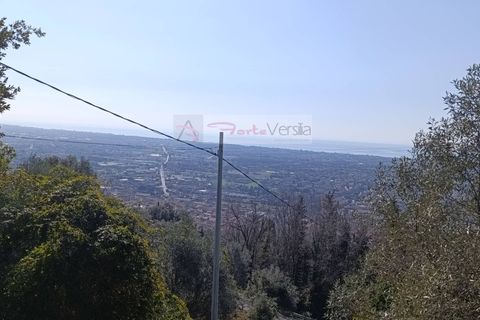 Landejendom i Pietrasanta, Lucca, Pietrasanta - € 450.000 | Ref: 2555 - foto 24