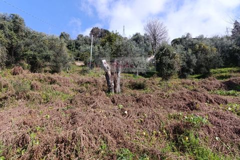 Landejendom i Pietrasanta, Lucca, Pietrasanta - € 450.000 | Ref: 2555 - foto 25