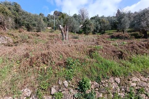 Landejendom i Pietrasanta, Lucca, Pietrasanta - € 450.000 | Ref: 2555 - foto 26