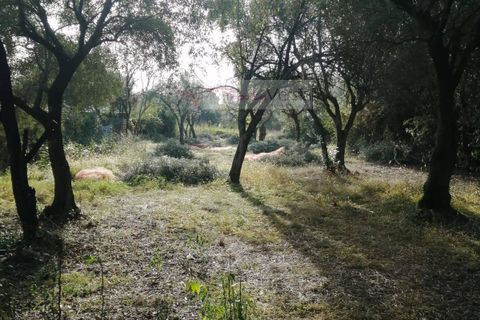 Villa i Massa, Massa and Carrara, Massa - € 560.000 | Ref: 2830 - foto 29