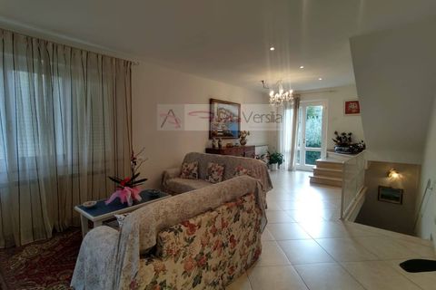 Villa i Pietrasanta, Lucca, Pietrasanta - € 1.800.000 | Ref: 2958 - foto 8