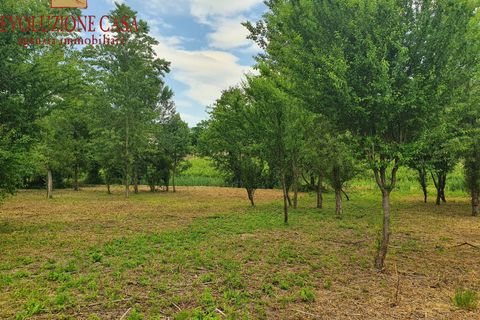 Villa a Farra d'Isonzo, Gorizia, Farra d'Isonzo - € 78.000 | Ref: 1408 - foto 7