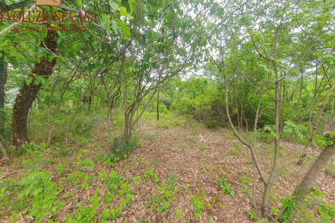 Helårsgrund i Sagrado, Gorizia, Sagrado - € 115.000 | Ref: 1503 - foto 2