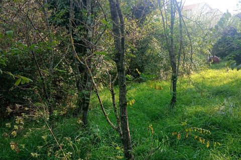 Helårsgrund i Duino-Aurisina, Trieste, Duino-Aurisina - € 189.000 | Ref: 1533 - foto 3