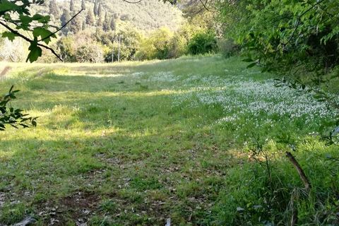Terra a Massarosa, Lucca, Massarosa - € 300/mes | Ref: T.P. - foto 4