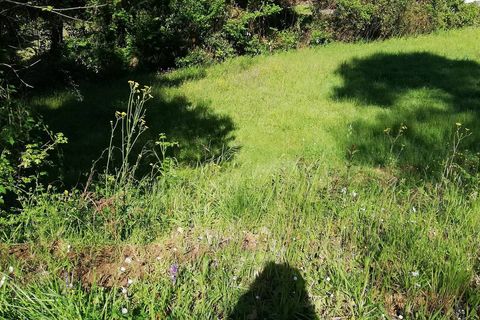 Terra a Massarosa, Lucca, Massarosa - € 300/mes | Ref: T.P. - foto 5