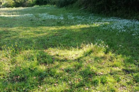 Terra a Massarosa, Lucca, Massarosa - € 300/mes | Ref: T.P. - foto 6