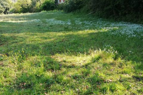 Terra a Massarosa, Lucca, Massarosa - € 300/mes | Ref: T.P. - foto 7
