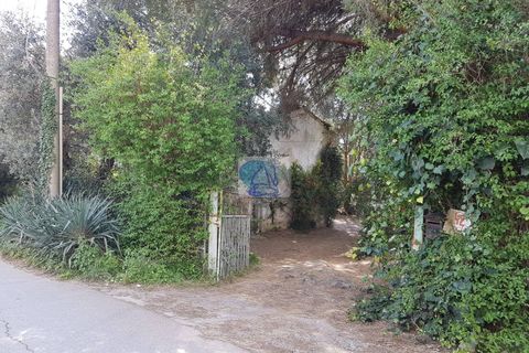 Villa a Viareggio, Lucca, Viareggio - € 290.000 | Ref: 58 - foto 7