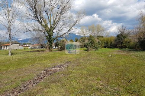 Villa a Viareggio, Lucca, Viareggio - € 290.000 | Ref: 58 - foto 8