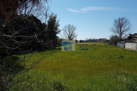 Villa a Viareggio, Lucca, Viareggio - € 290.000 | Ref: 58 - foto 12