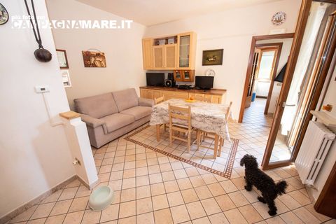 Wohnung in Codigoro, Ferrara, Codigoro - € 69.000 | Ref: CR 11 - Foto 9