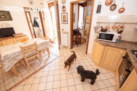 Wohnung in Codigoro, Ferrara, Codigoro - € 69.000 | Ref: CR 11 - Foto 10