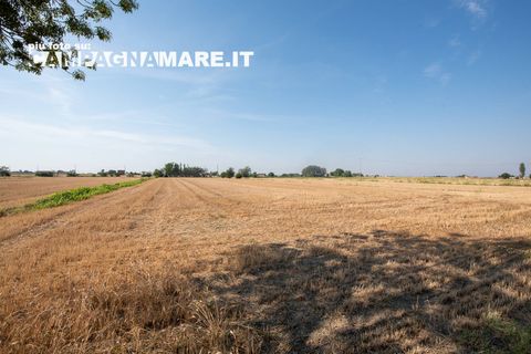 Villa i Copparo, Ferrara, Copparo - € 58.000 | Ref: CR 72 - foto 13