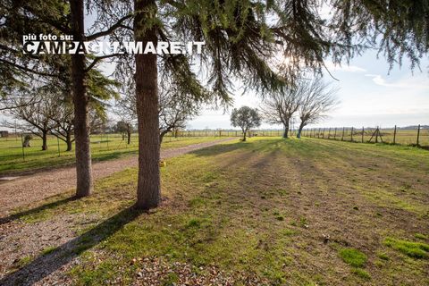 Landejendom i Codigoro, Ferrara, Codigoro - € 169.000 | Ref: CR 182 - foto 6