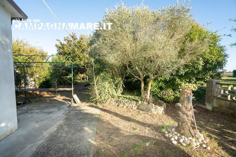 Villa i Codigoro, Ferrara, Codigoro - € 98.000 | Ref: CR 111 - foto 7