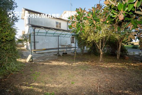 Villa i Codigoro, Ferrara, Codigoro - € 98.000 | Ref: CR 111 - foto 14