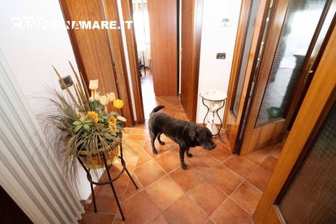 Villa i Portomaggiore, Ferrara, Portomaggiore - € 159.000 | Ref: CR 159 - foto 32