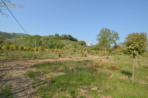 Villa i Montefiore dell'Aso, Ascoli Piceno, Montefiore dell'Aso - € 265.000 | Ref: 29587 - foto 27