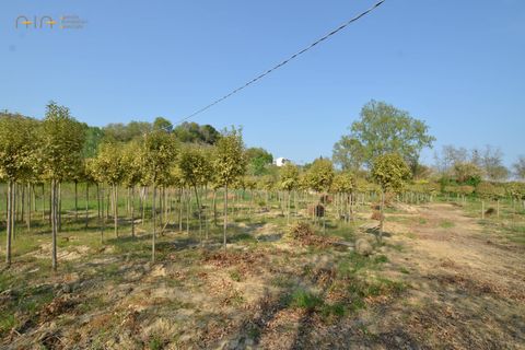 Villa i Montefiore dell'Aso, Ascoli Piceno, Montefiore dell'Aso - € 265.000 | Ref: 29587 - foto 28