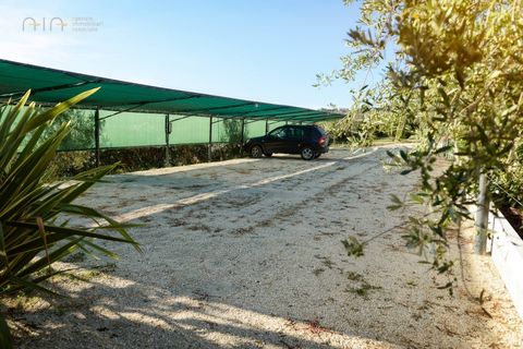 Landejendom i Colonnella, Teramo, Colonnella - € 1.000.000 | Ref: 31023 - foto 23