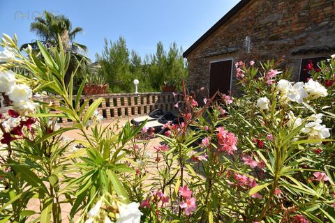 Landejendom i Colonnella, Teramo, Colonnella - € 1.000.000 | Ref: 31023 - foto 48