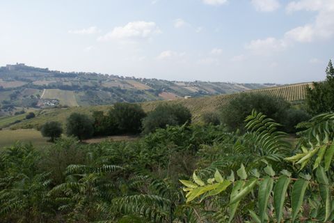 Landejendom i Monteprandone, Ascoli Piceno, Monteprandone - € 155.000 | Ref: 31303 - foto 2