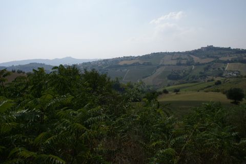 Landejendom i Monteprandone, Ascoli Piceno, Monteprandone - € 155.000 | Ref: 31303 - foto 3