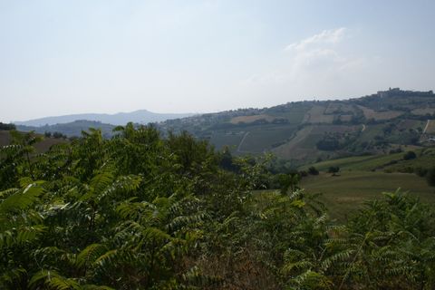 Landejendom i Monteprandone, Ascoli Piceno, Monteprandone - € 155.000 | Ref: 31303 - foto 18