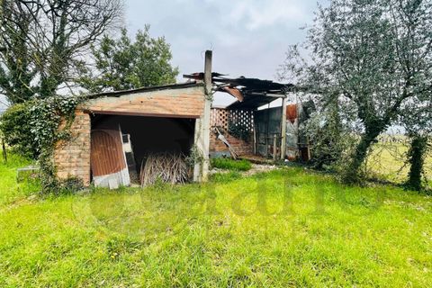 Landejendom i Roccasecca, Frosinone, Roccasecca - € 105.000 | Ref: AC99-175 - foto 8