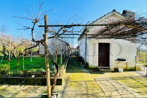 Villa i Roccasecca, Frosinone, Roccasecca - € 98.000 | Ref: AC99-425 - foto 10